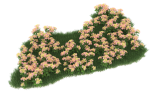 Realistic foliage isolated on transparent background. 3d rendering - illustration png