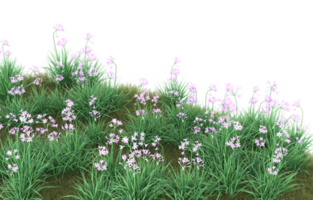 Realistic foliage isolated on transparent background. 3d rendering - illustration png