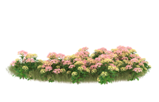 Realistic foliage isolated on transparent background. 3d rendering - illustration png