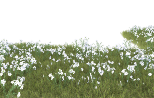 Realistic foliage isolated on transparent background. 3d rendering - illustration png