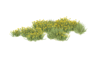 Realistic foliage isolated on transparent background. 3d rendering - illustration png