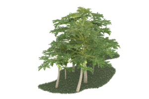 Realistic forest isolated on transparent background. 3d rendering - illustration png