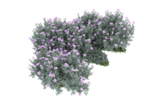 realistischer wald lokalisiert auf transparentem hintergrund. 3D-Rendering - Abbildung png