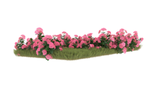 Realistic foliage isolated on transparent background. 3d rendering - illustration png