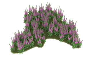 Realistic foliage isolated on transparent background. 3d rendering - illustration png