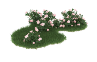 Realistic foliage isolated on transparent background. 3d rendering - illustration png