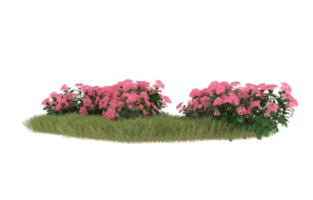 Realistic foliage isolated on transparent background. 3d rendering - illustration png