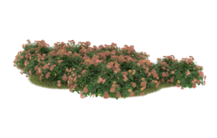 Realistic foliage isolated on transparent background. 3d rendering - illustration png