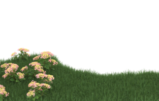 Realistic foliage isolated on transparent background. 3d rendering - illustration png