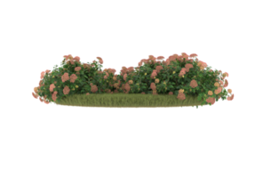 Realistic foliage isolated on transparent background. 3d rendering - illustration png