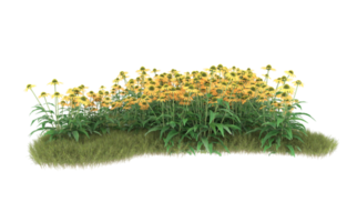 Realistic foliage isolated on transparent background. 3d rendering - illustration png