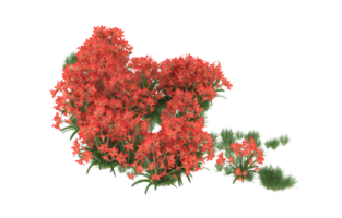 Realistic foliage isolated on transparent background. 3d rendering - illustration png