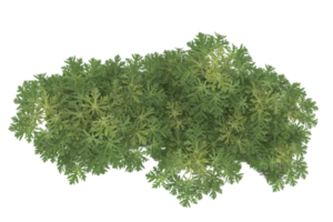 Realistic forest isolated on transparent background. 3d rendering - illustration png