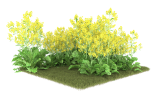 Realistic foliage isolated on transparent background. 3d rendering - illustration png