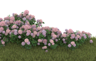 Realistic foliage isolated on transparent background. 3d rendering - illustration png