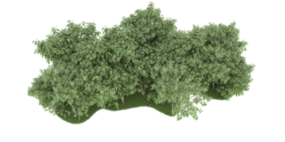 Realistic forest isolated on transparent background. 3d rendering - illustration png