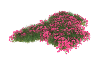 Realistic foliage isolated on transparent background. 3d rendering - illustration png