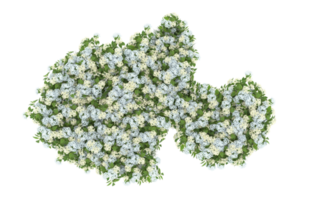 Realistic foliage isolated on transparent background. 3d rendering - illustration png