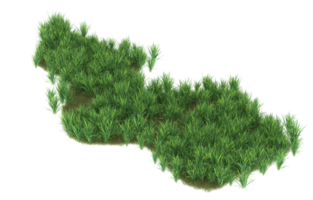 Realistic foliage isolated on transparent background. 3d rendering - illustration png