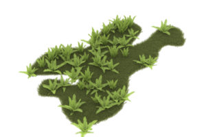 Realistic foliage isolated on transparent background. 3d rendering - illustration png