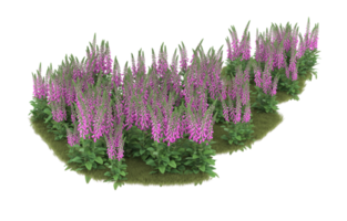 Realistic foliage isolated on transparent background. 3d rendering - illustration png