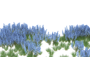 Realistic foliage isolated on transparent background. 3d rendering - illustration png