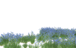 Realistic foliage isolated on transparent background. 3d rendering - illustration png