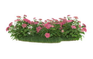 Realistic foliage isolated on transparent background. 3d rendering - illustration png