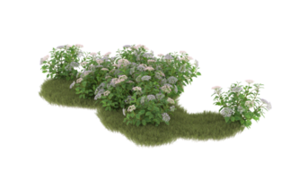 Realistic foliage isolated on transparent background. 3d rendering - illustration png