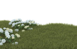 Realistic foliage isolated on transparent background. 3d rendering - illustration png