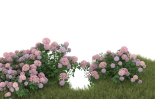 Realistic foliage isolated on transparent background. 3d rendering - illustration png