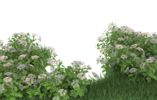 Realistic foliage isolated on transparent background. 3d rendering - illustration png