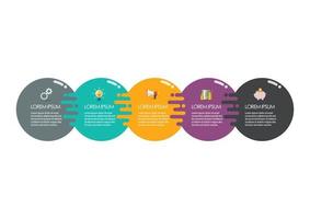 Circle infographic template vector