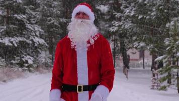 santa claus är har roligt och rolig dans, visar akrobatisk knep, element av stridande och rolig Hoppar utomhus- i vinter- på en snöig väg med tall träd. fira jul och ny år. video