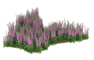 Realistic foliage isolated on transparent background. 3d rendering - illustration png