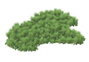 Realistic foliage isolated on transparent background. 3d rendering - illustration png