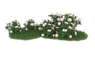 Realistic foliage isolated on transparent background. 3d rendering - illustration png