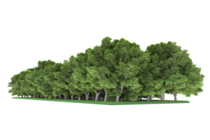 Realistic forest isolated on transparent background. 3d rendering - illustration png