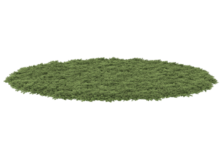 Realistic foliage isolated on transparent background. 3d rendering - illustration png