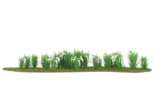 Realistic foliage isolated on transparent background. 3d rendering - illustration png