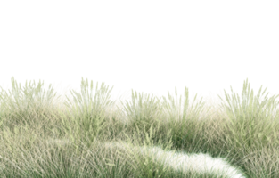 Realistic foliage isolated on transparent background. 3d rendering - illustration png