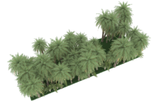 Palm trees isolated on transparent background. 3d rendering - illustration png