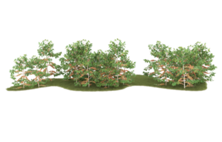 Realistic foliage isolated on transparent background. 3d rendering - illustration png