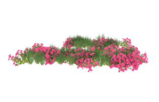 Realistic foliage isolated on transparent background. 3d rendering - illustration png