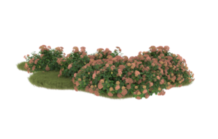 Realistic foliage isolated on transparent background. 3d rendering - illustration png