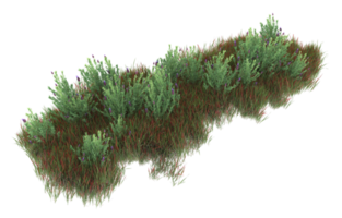 Realistic foliage isolated on transparent background. 3d rendering - illustration png