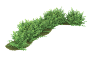 Realistic foliage isolated on transparent background. 3d rendering - illustration png