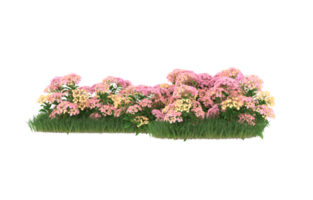 Realistic foliage isolated on transparent background. 3d rendering - illustration png