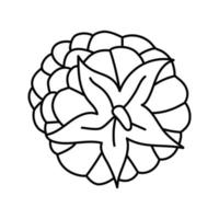 frambuesa madura deliciosa fruta línea icono vector ilustración