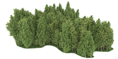 realistico foresta isolato su trasparente sfondo. 3d interpretazione - illustrazione png